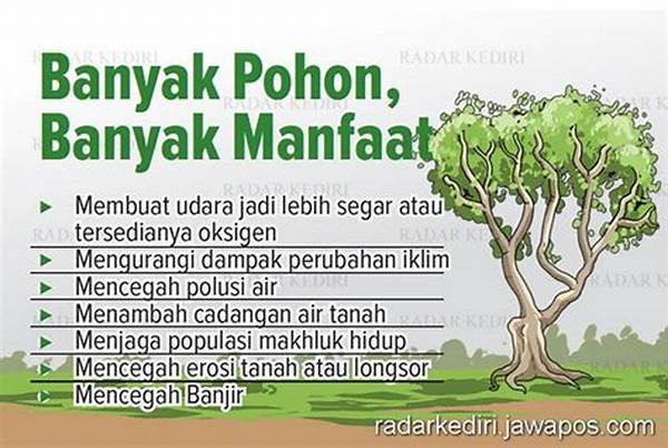 manfaat-pohon-rindang-bagi-sekolah_8cb4be45d.jpg
