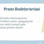 pemanfaatan-bakteri-dalam-degradasi-polimer_da11a0ff4.jpg