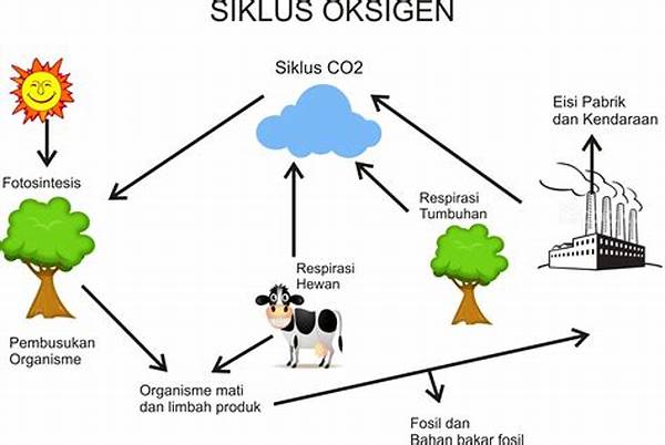 dampak-oksigen-pada-energi-tubuh_fdf642d68.jpg