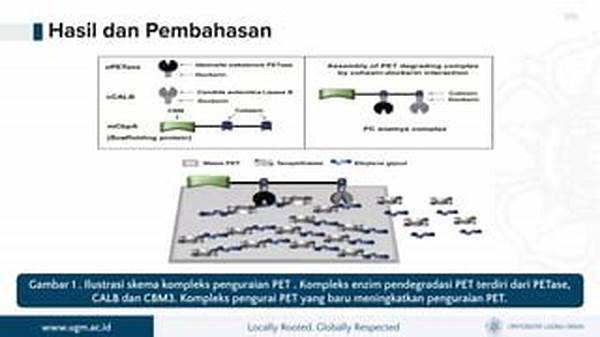 enzim-pengurai-polimer-plastik_8a2c69d67.jpg
