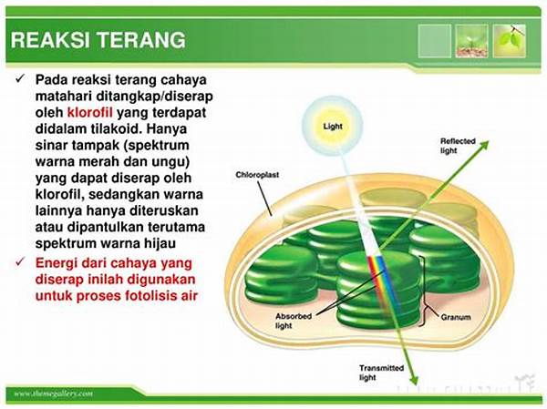 fotolisis-air-untuk-energi-hijau_981134d31.jpg