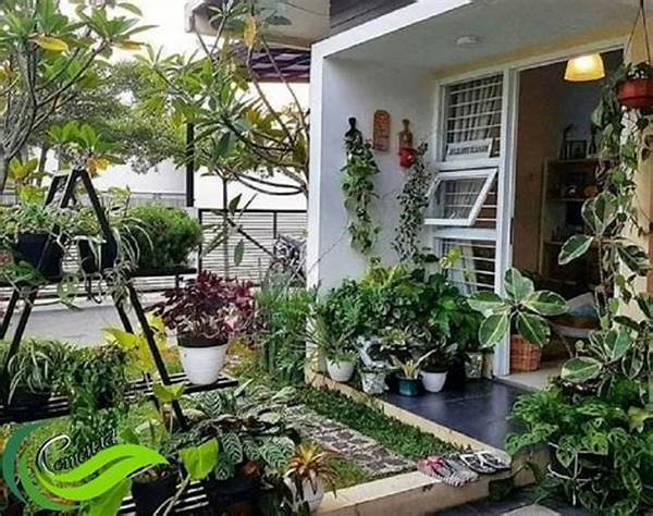 ide-tata-letak-pohon-rindang_f53da38c7.jpg