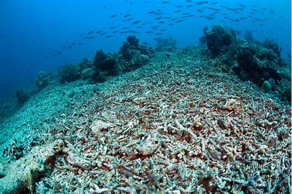 kerusakan-ekosistem-laut-parah_a06eba239.jpg