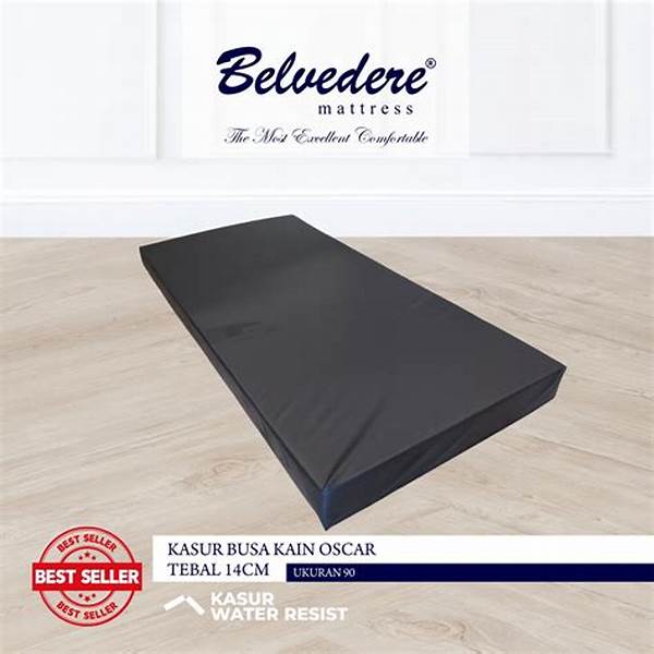 matras-kamar-mandi-mudah-dibersihkan_a3132a800.jpg