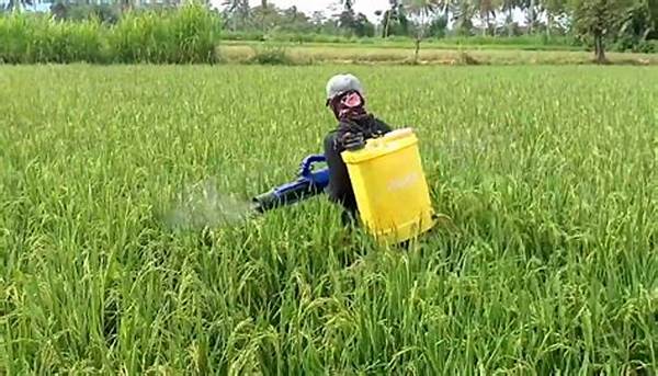 meningkatkan-hasil-panen-hujan_fac50daff.jpg