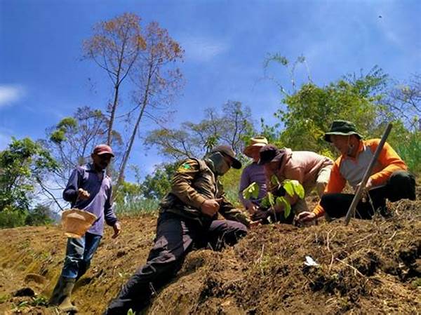 pendekatan-ekosistem-dalam-rehabilitasi-hutan_103103004.jpg