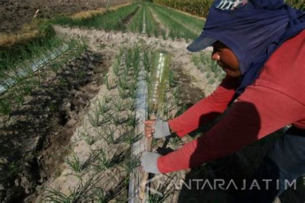 penggunaan-perangkap-hama-ramah-lingkungan_754edd3fa.jpg