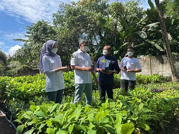 rehabilitasi-dan-restorasi-lahan-hutan_684438057.jpg
