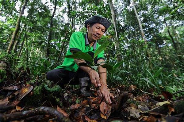 restorasi-kawasan-hutan-terdegradasi_e30dcd64d.jpg