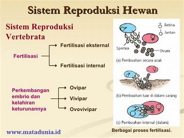 strategi-reproduksi-hewan-perairan_42a4a8960.jpg