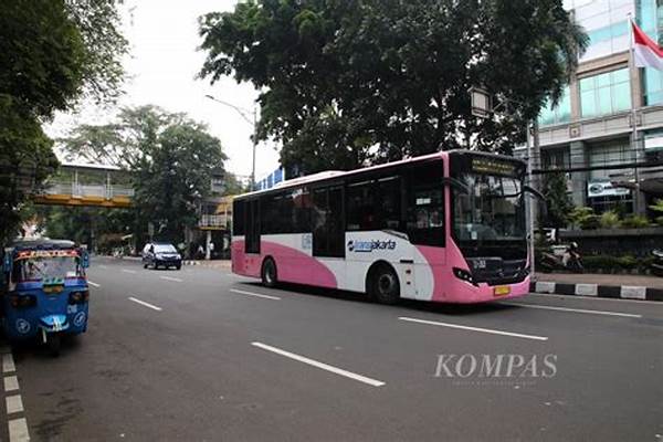 analisis-kebutuhan-transportasi-inklusif-kelompok-rentan_aa44231b3.jpg