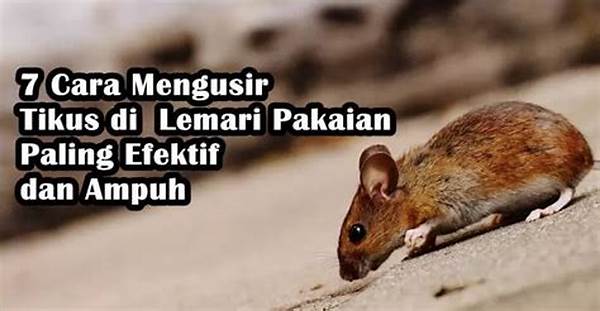 cara-efektif-mengusir-tikus_d7478e07e.jpg