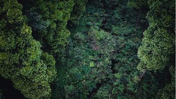 ekosistem-hutan-tropis-untuk-pariwisata_861a198db.jpg