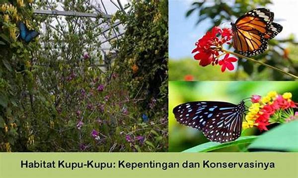 habitat-alami-kupu-kupu-sekolah_994199f12.jpg