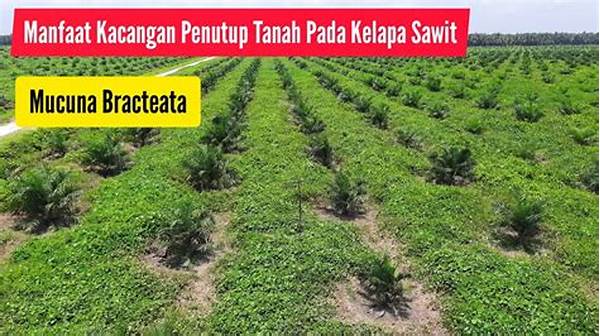 manfaat-penanaman-penutup-tanah_83d10c9d5.jpg