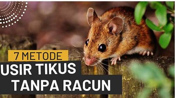 metode-tradisional-usir-tikus_9912695b5.jpg