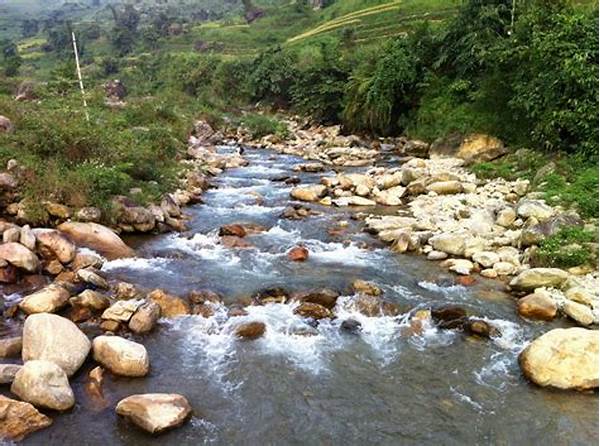 pemandangan-menenangkan-sungai-kecil_6ec00440f.jpg