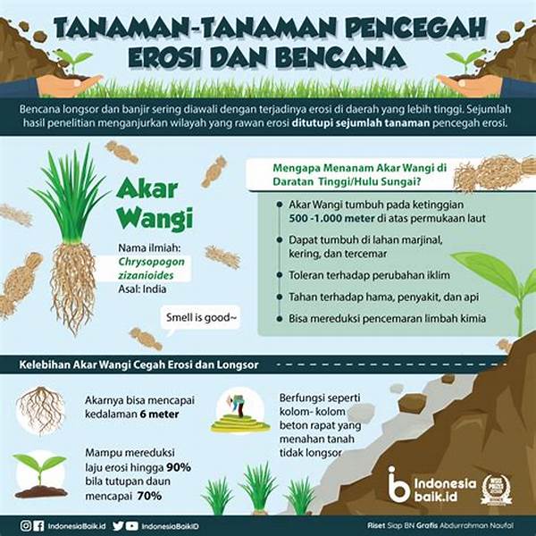 pencegahan-erosi-tanah-efektif_085695fe8.jpg
