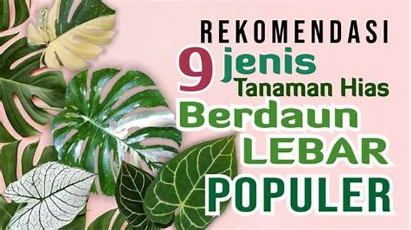 tanaman-hias-berdaun-lebar-populer_8cd75d771.jpg