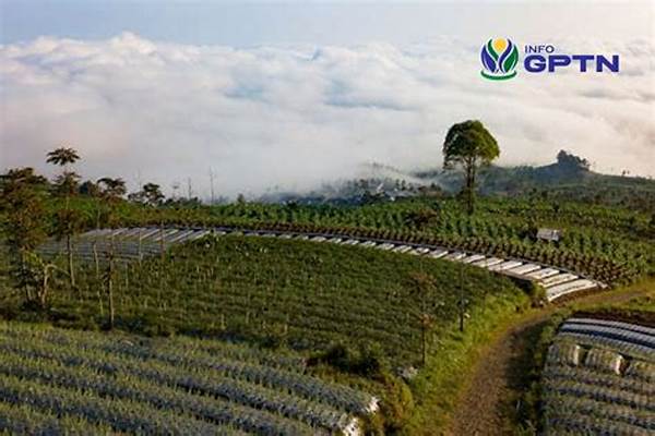 agroforestri-untuk-hutan-lestari_c3b39c34e.jpg