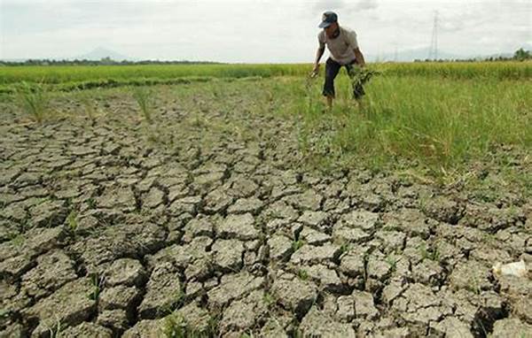 kekeringan-akibat-el-nino_4e45f777a.jpg