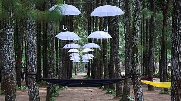 manajemen-keberlanjutan-hutan-dan-pohon_0426e03dc.jpg