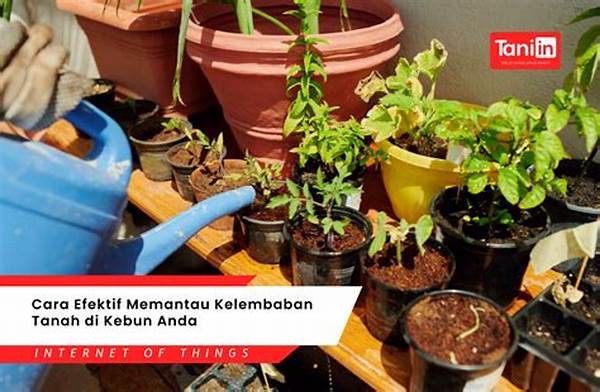 manajemen-kelembaban-tanah-efektif_0a6161813.jpg