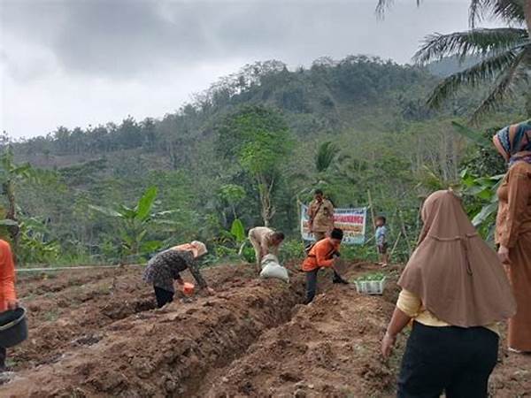 meningkatkan-kebersihan-melalui-gotong-royong_5cab190db.jpg