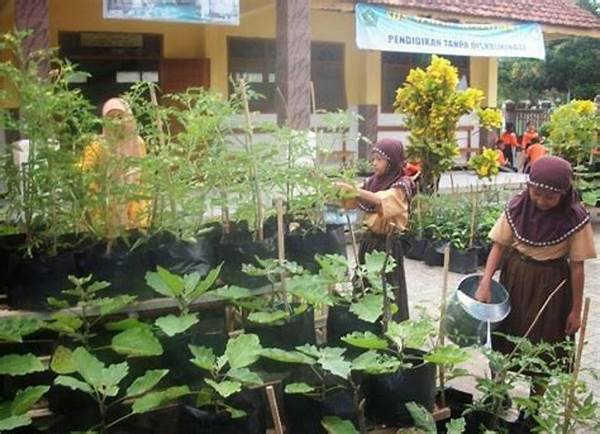 pembuatan-kebun-sayur-sekolah_da72a86ae.jpg