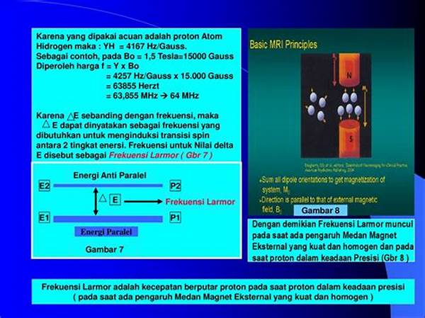 pengaruh-medan-magnet-eksternal_b02f78229.jpg