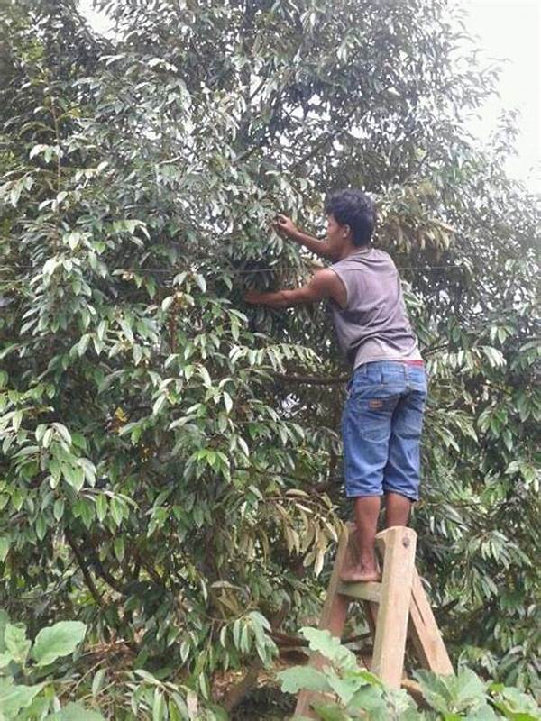 teknik-pemeliharaan-pohon-muda_f6d8d8c10.jpg