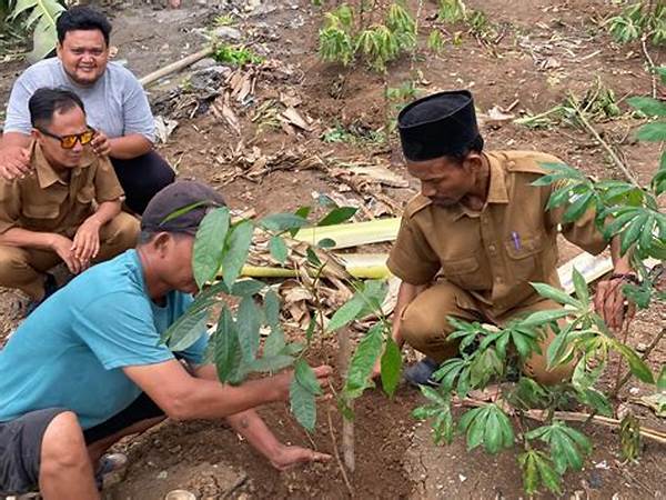 upaya-rehabilitasi-lahan-bekas-deforestasi_9faaac002.jpg