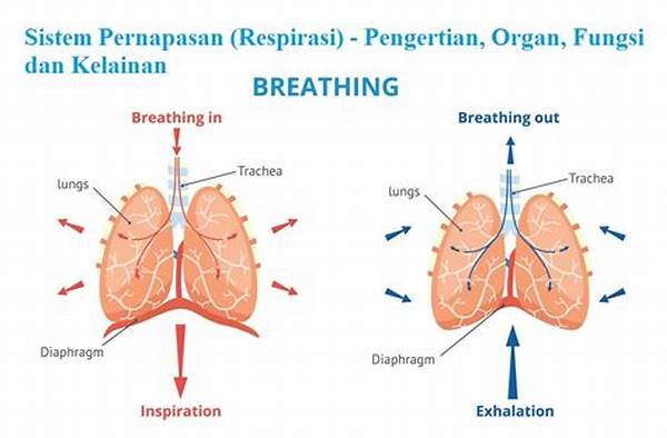 adaptasi-respirasi-terhadap-perfusi_5019e9399.jpg