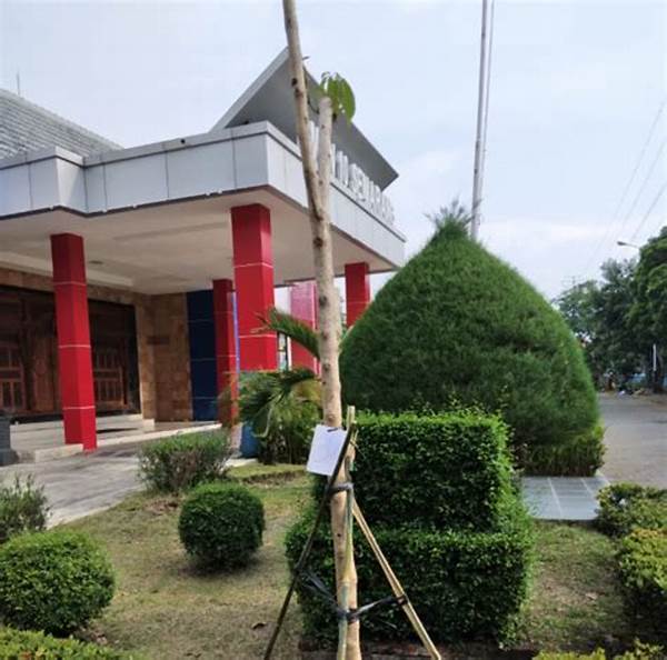 cara-merawat-pohon-rindang-sekolah_267e2327f.jpg