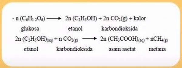 faktor-lingkungan-pembentukan-metana_09e848667.jpg