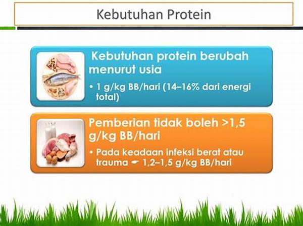 kebutuhan-protein-berdasarkan-usia_b8e11570c.jpg