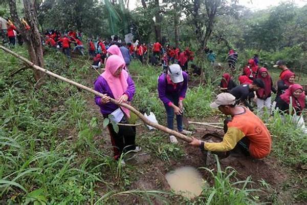 manfaat-ekonomi-dari-penanaman-kembali_219019c40.jpg