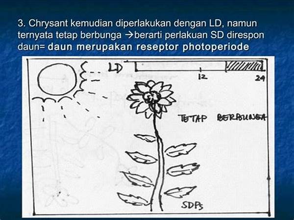pengaruh-lingkungan-terhadap-morfologi-tumbuhan_1b627af0c.jpg