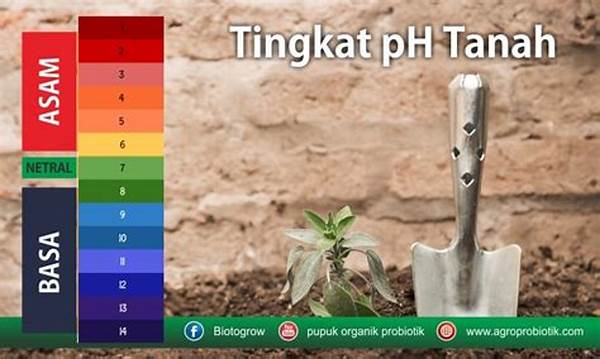 perawatan-tanah-subur-ph-optimal_ce7a73bca.jpg