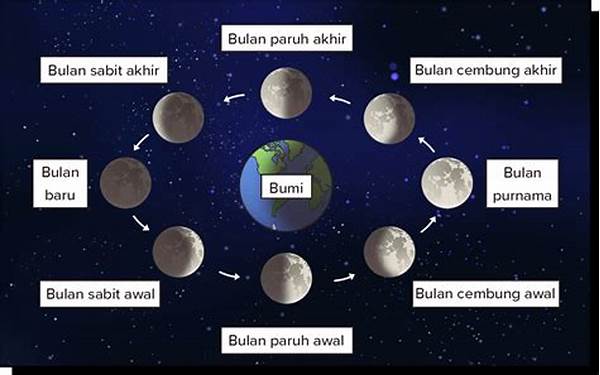 waktu-yang-dibutuhkan-oleh-bulan-mulai-dari-fase-bulan-baru-hingga-bulan-purnama-adalah-sekitar_c8a3c8dcf.jpg