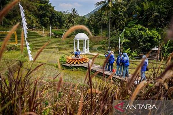 wisata-edukasi-di-kawasan-persawahan_c60eb43f6.jpg