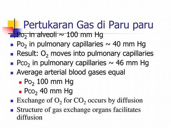 gangguan-pertukaran-gas-paru_7b34e9d5c.jpg