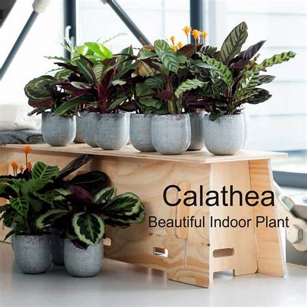 hiasan-interior-dengan-daun-calathea_c30b99689.jpg