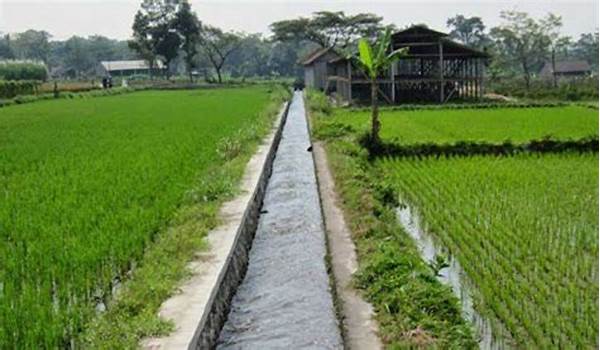 irigasi-tadah-hujan-sederhana_d1a66aedb.jpg