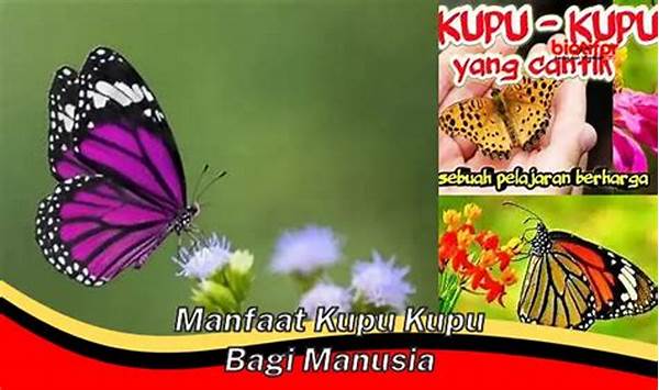 manfaat-kupu-kupu-bagi-lingkungan_33b6c1be1.jpg