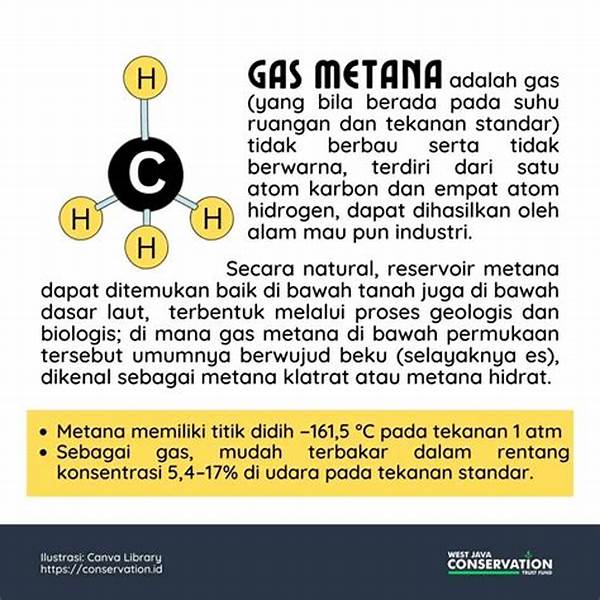 metana-dari-dekomposisi-organik_7f2a2166d.jpg