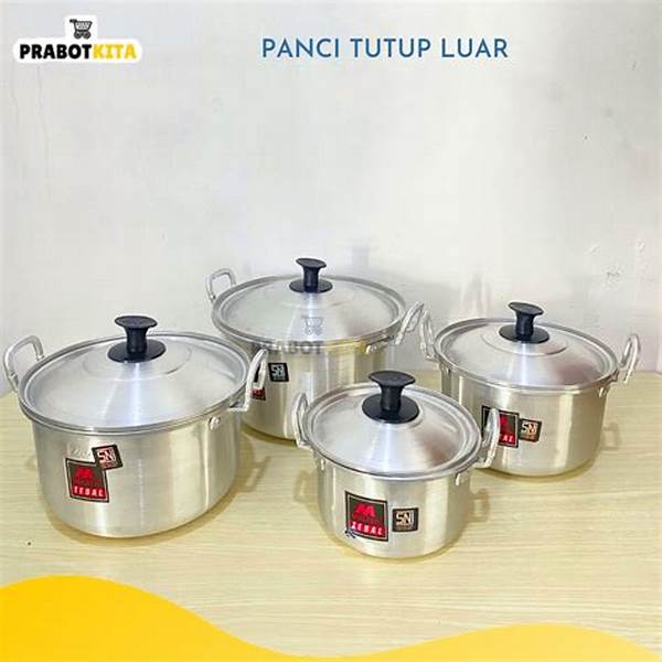 alat-masak-panci-kecil-ekonomis_4f6c1e3ff.jpg