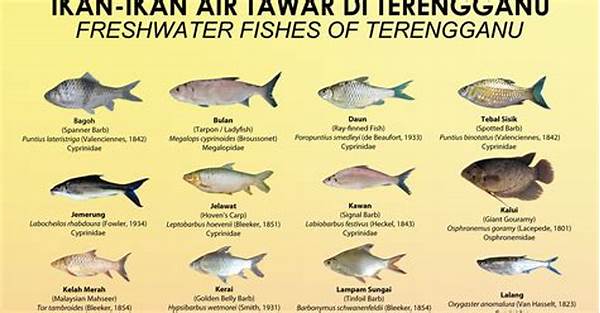 kehidupan-ikan-di-perairan-tawar_afa2260e3.jpg