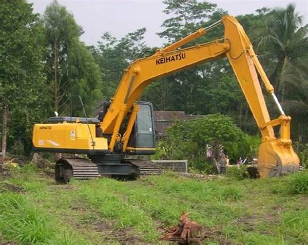 pembersihan-lahan-dari-kerusakan_d630199a2.jpg