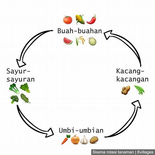pengaturan-rotasi-tanaman-berdasarkan-iklim_8eae1b4f5.jpg